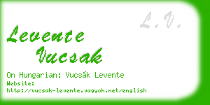 levente vucsak business card